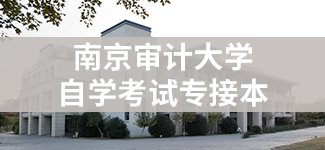 蓝鲸体育直播app下载成为维拉的官方