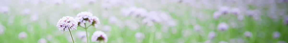 211815 更多阅读