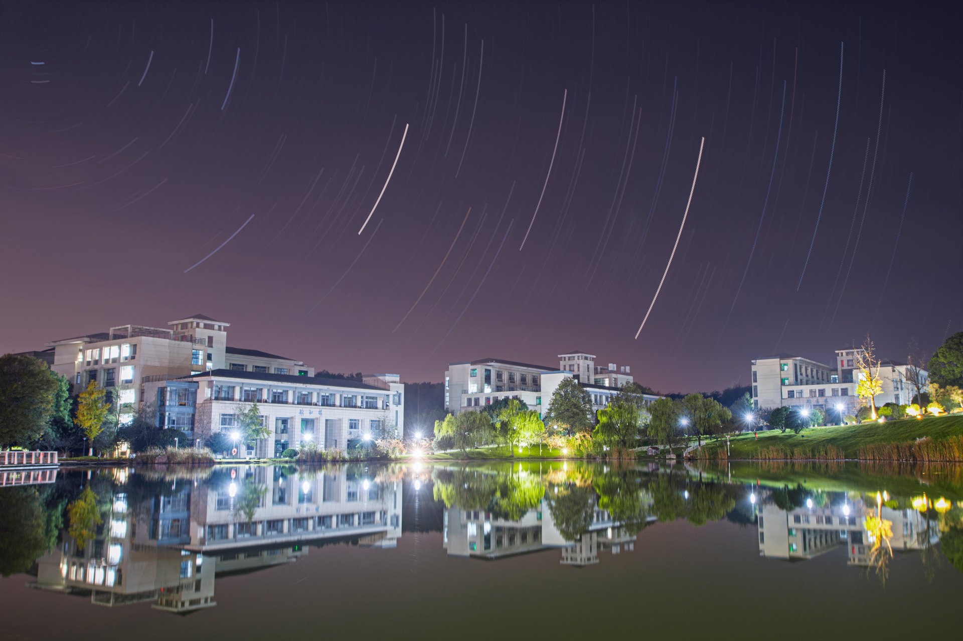 239文章来源