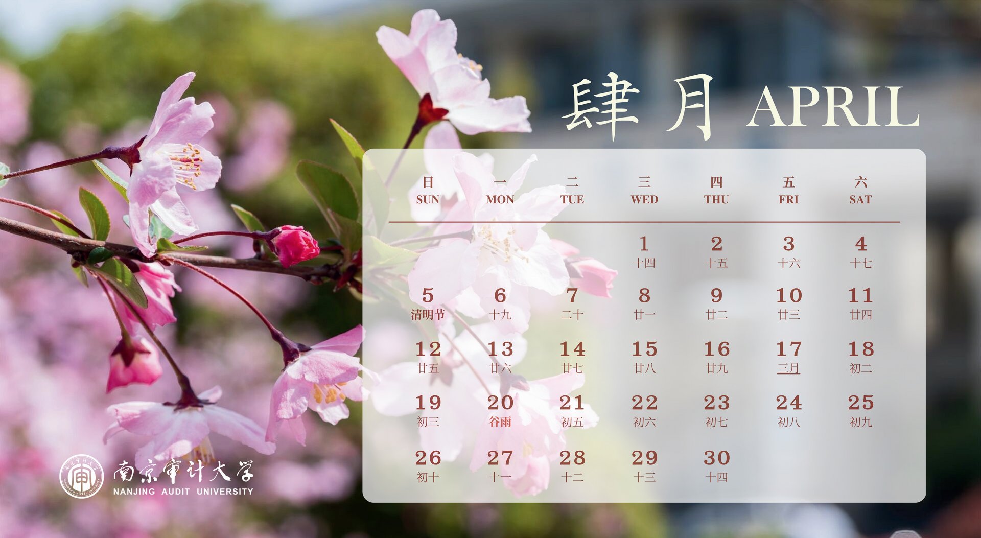 蓝鲸体育直播app下载最新活动概况
