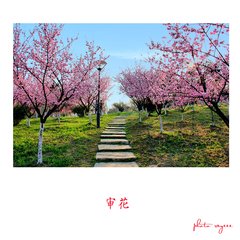 Copyright © Nanjin